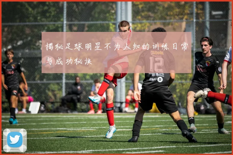 揭秘足球明星不为人知的训练日常与成功秘诀