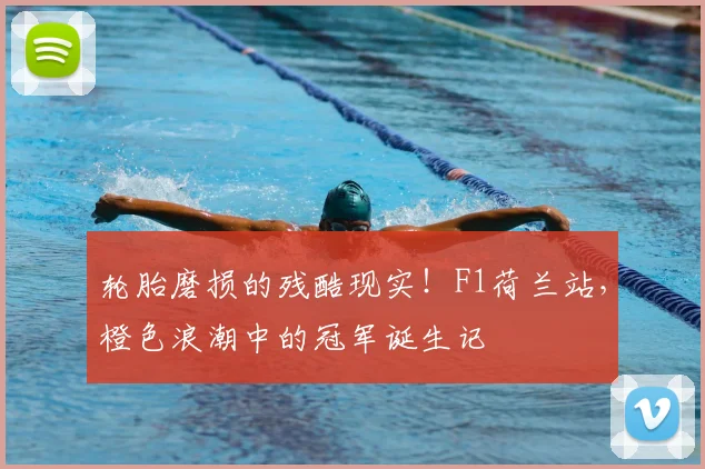 轮胎磨损的残酷现实!F1荷兰站,橙色浪潮中的冠军诞生记