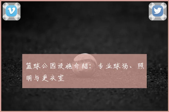 篮球公园设施介绍:专业球场、照明与更衣室